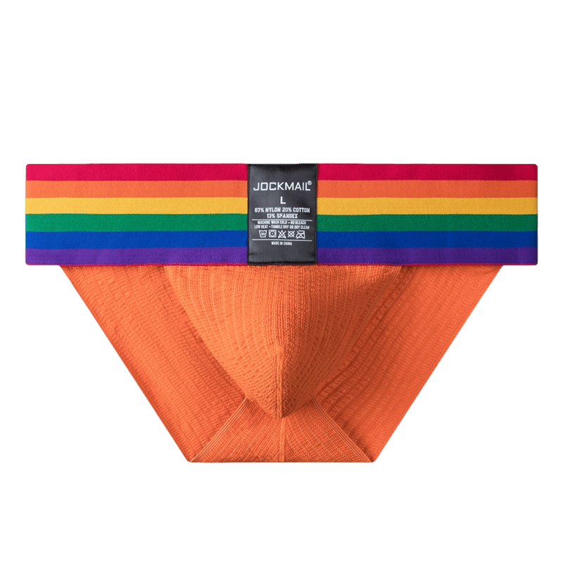 Thick Pride Tanga Briefs | dmunderwear detail image 20