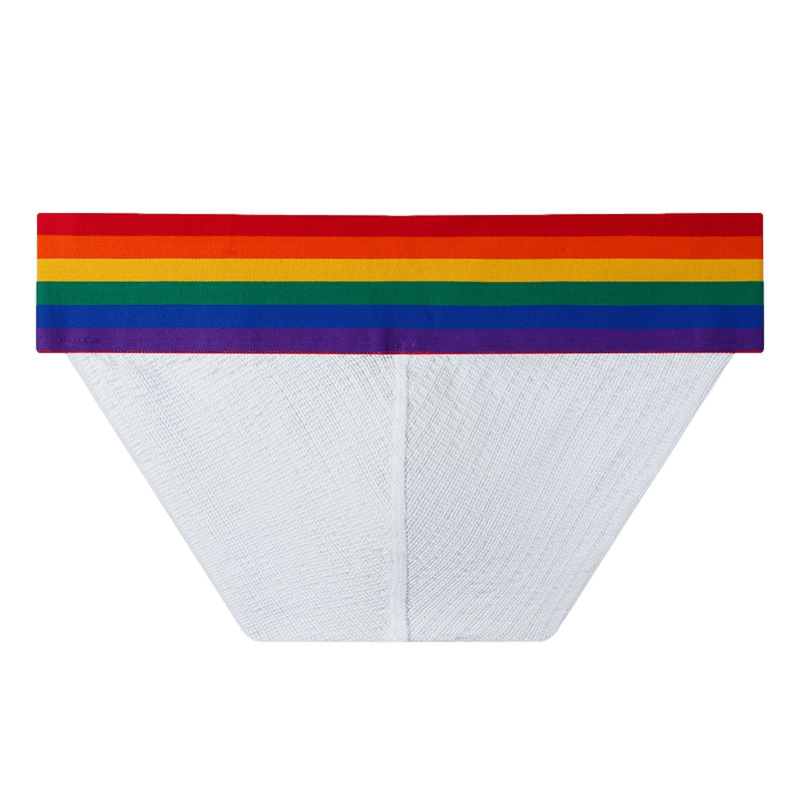 Thick Pride Tanga Briefs | dmunderwear detail image 5