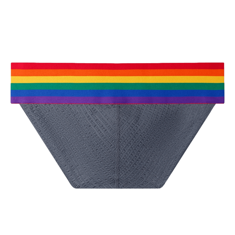Thick Pride Tanga Briefs | dmunderwear detail image 8