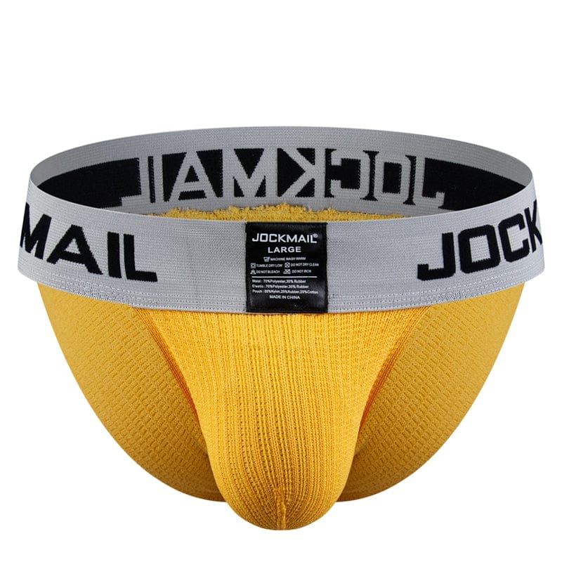 Thick Rainbow Tanga Briefs | dmunderwear detail image 9