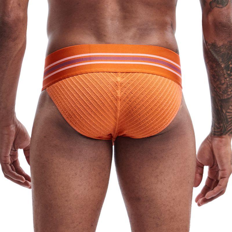 Thick Sport Tanga Briefs | dmunderwear detail image 11