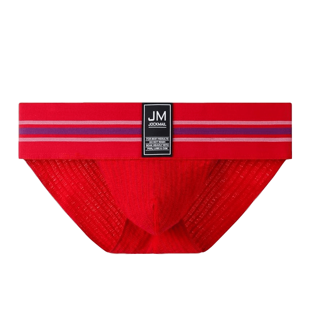 Thick Sport Tanga Briefs | dmunderwear detail image 15