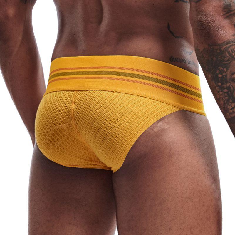 Thick Sport Tanga Briefs | dmunderwear detail image 2