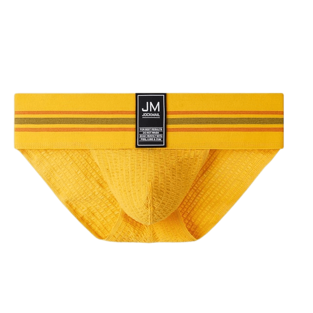 Thick Sport Tanga Briefs | dmunderwear detail image 3