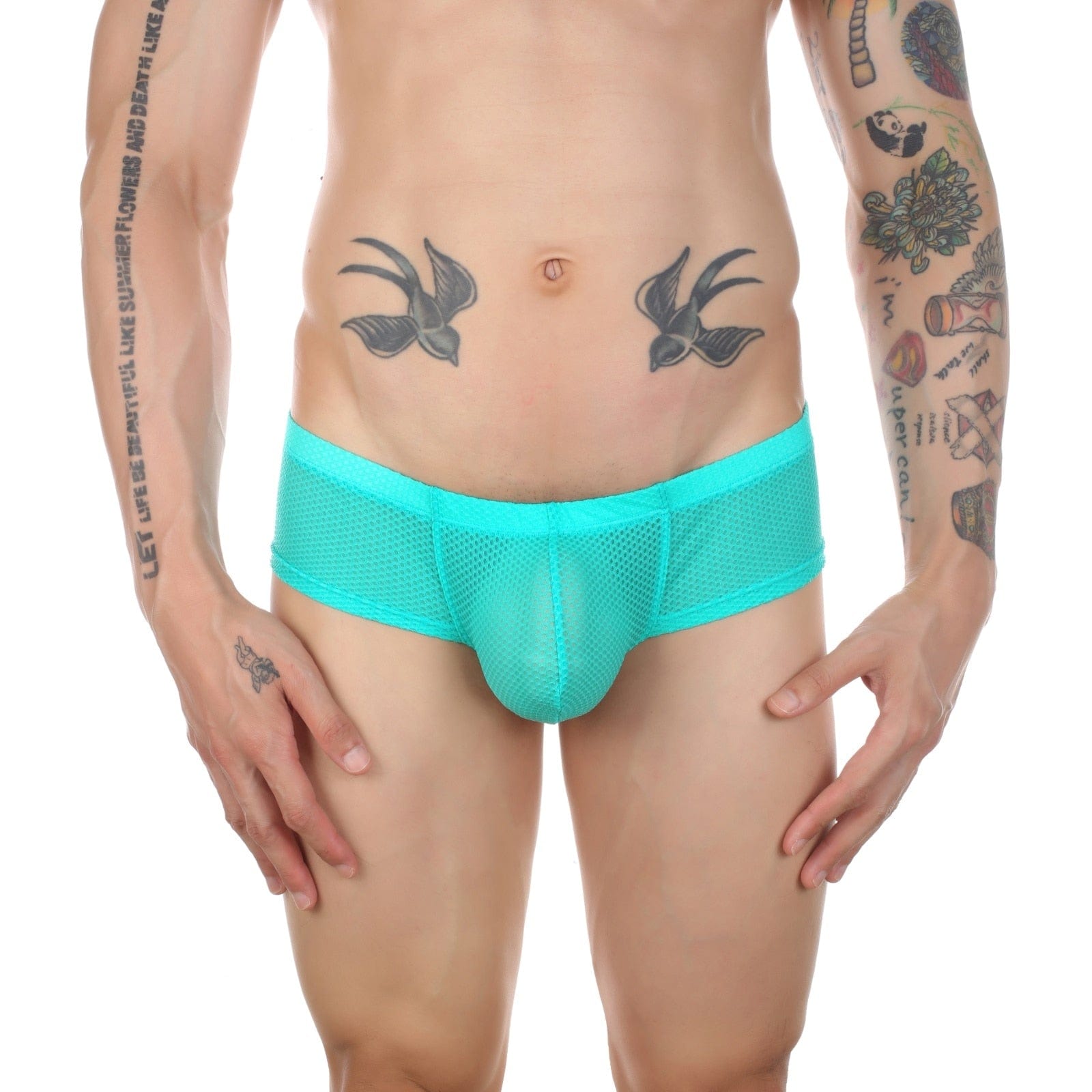 Thrust Mesh Cheeky Briefs | dmunderwear detail image 2
