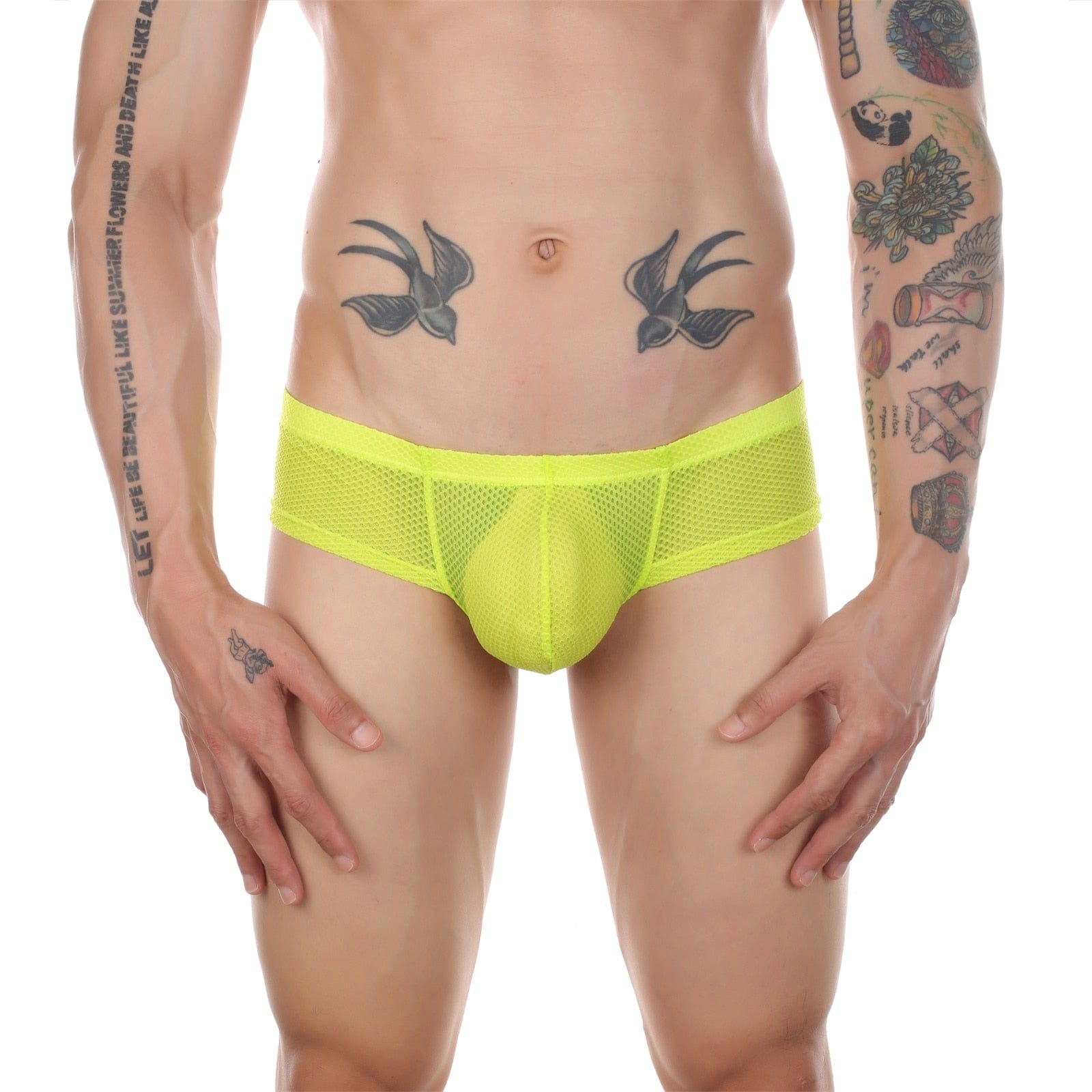 Thrust Mesh Cheeky Briefs | dmunderwear detail image 4