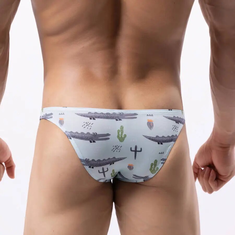 Toybox Bikini Briefs (7 Designs) | dmunderwear detail image 4
