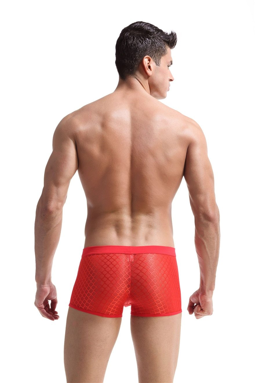 Transparent Mesh Boxers | dmunderwear