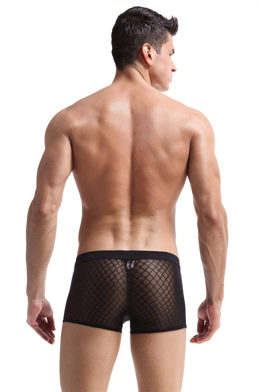 Transparent Mesh Boxers | dmunderwear detail image 3