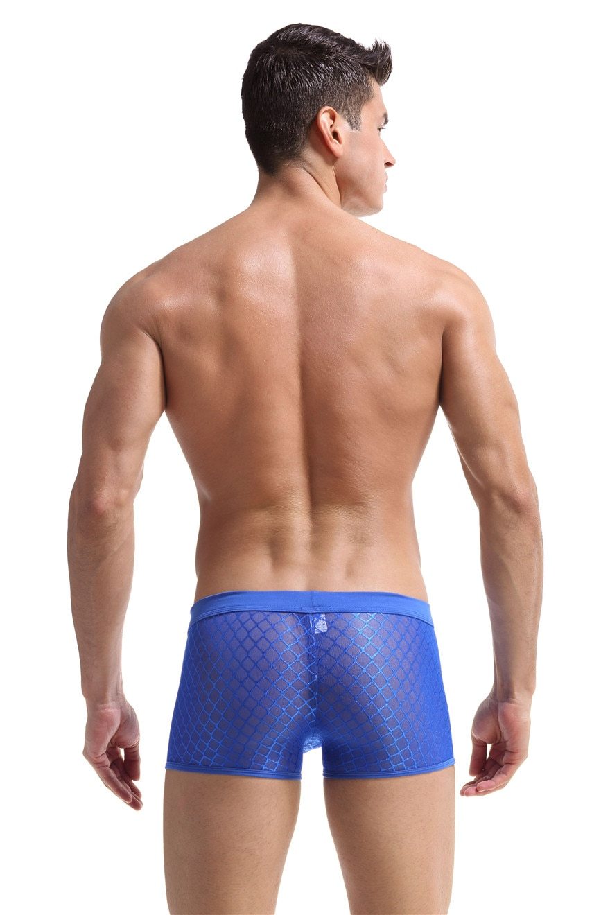 Transparent Mesh Boxers | dmunderwear detail image 4