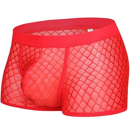 Transparent Mesh Boxers | dmunderwear detail image 9
