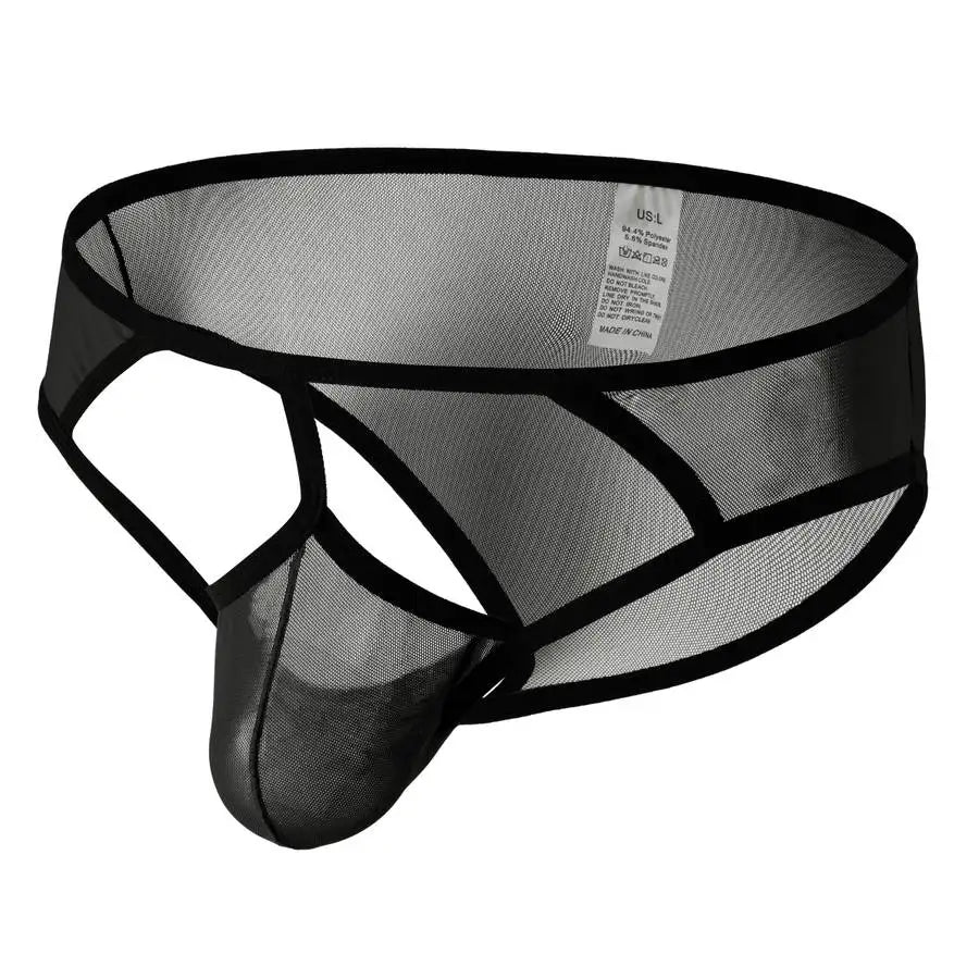 Transparent Mesh Exposure Briefs | dmunderwear