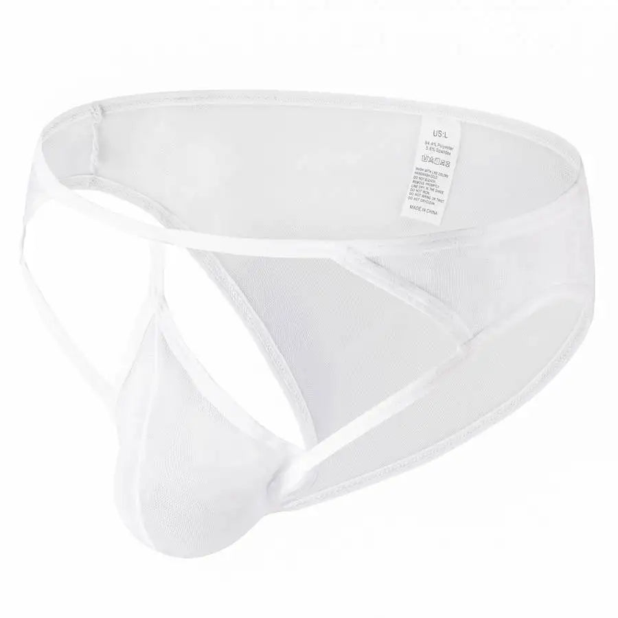 Transparent Mesh Exposure Briefs | dmunderwear detail image 2
