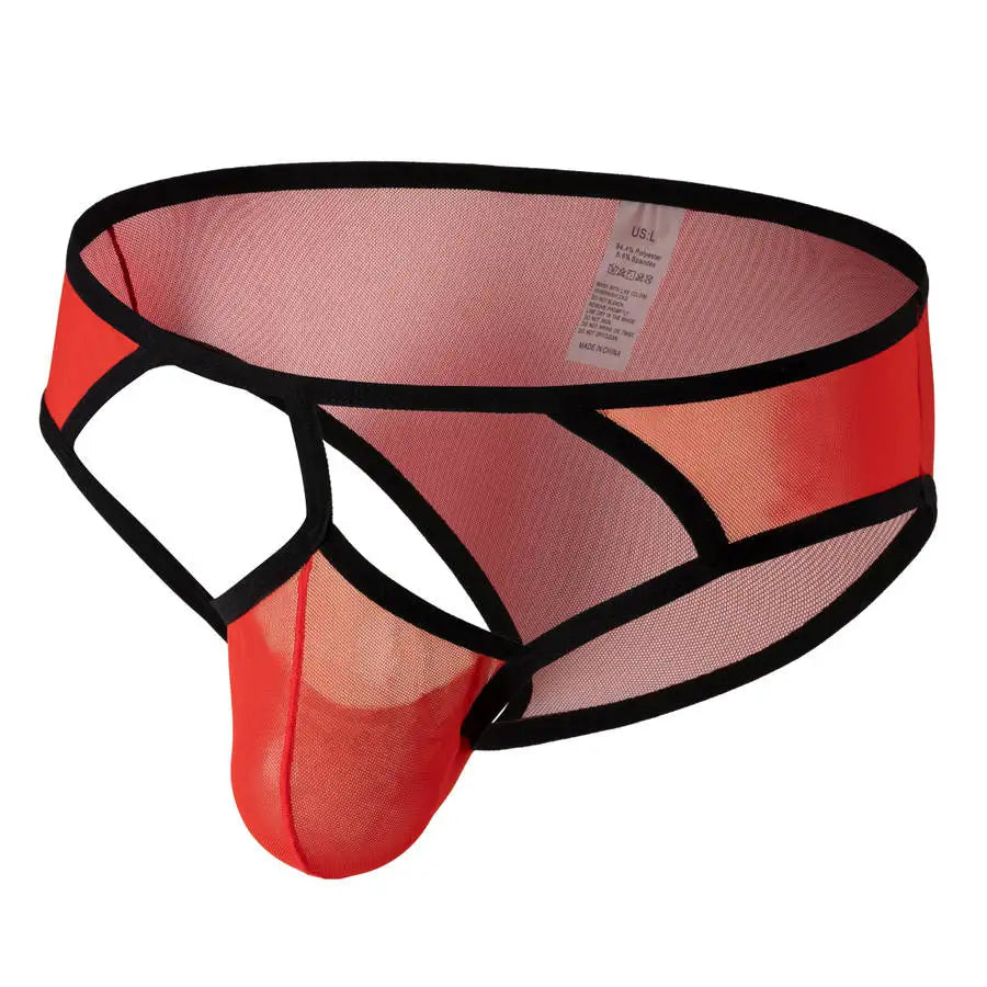 Transparent Mesh Exposure Briefs | dmunderwear detail image 3
