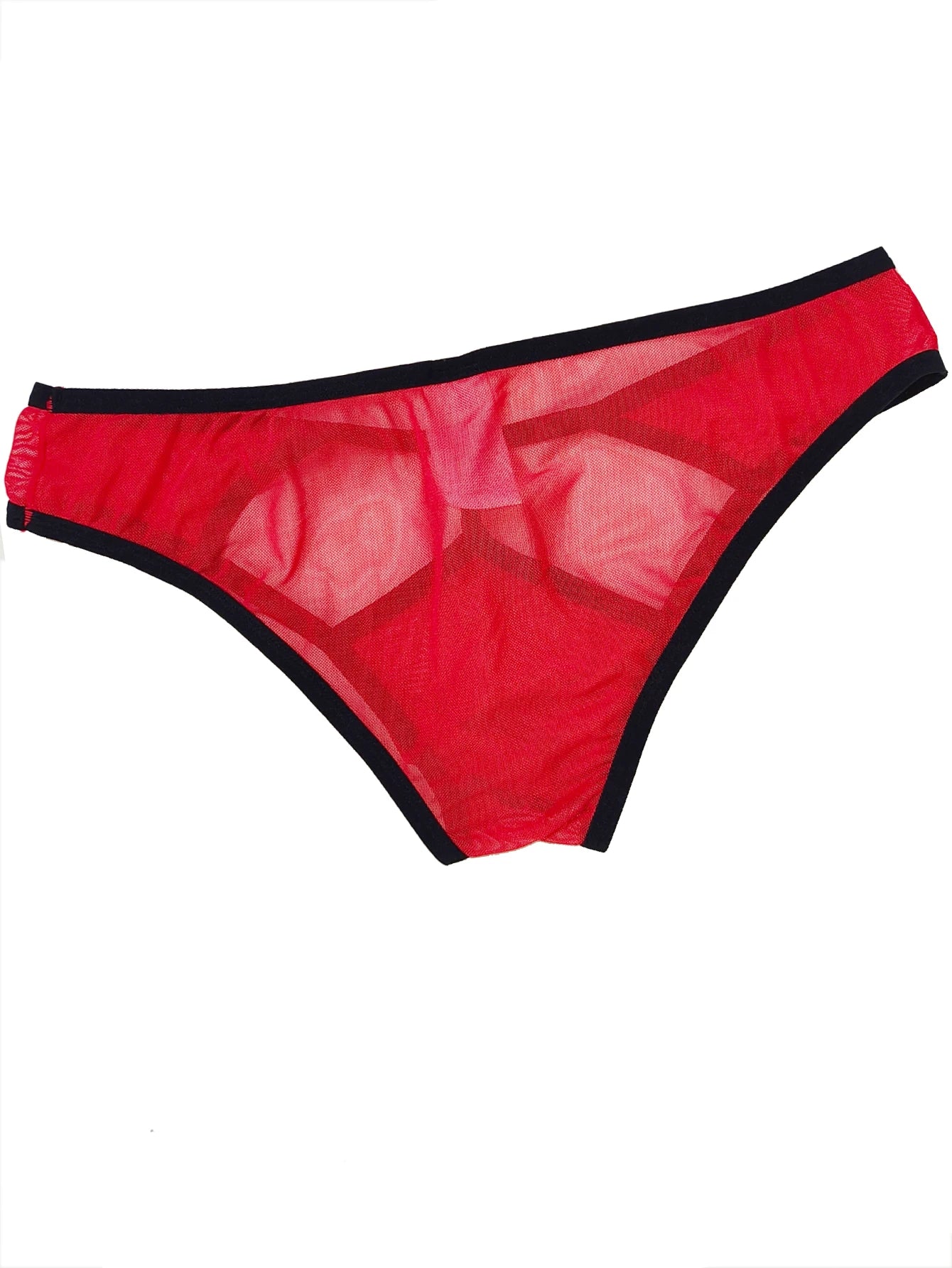 Transparent Mesh Exposure Briefs | dmunderwear detail image 5