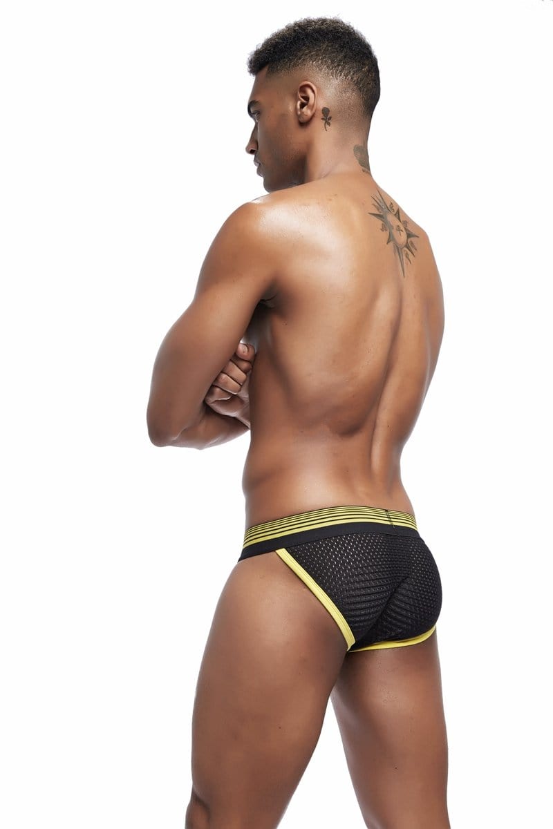 Trimmed Mesh Tanga Briefs | dmunderwear detail image 3
