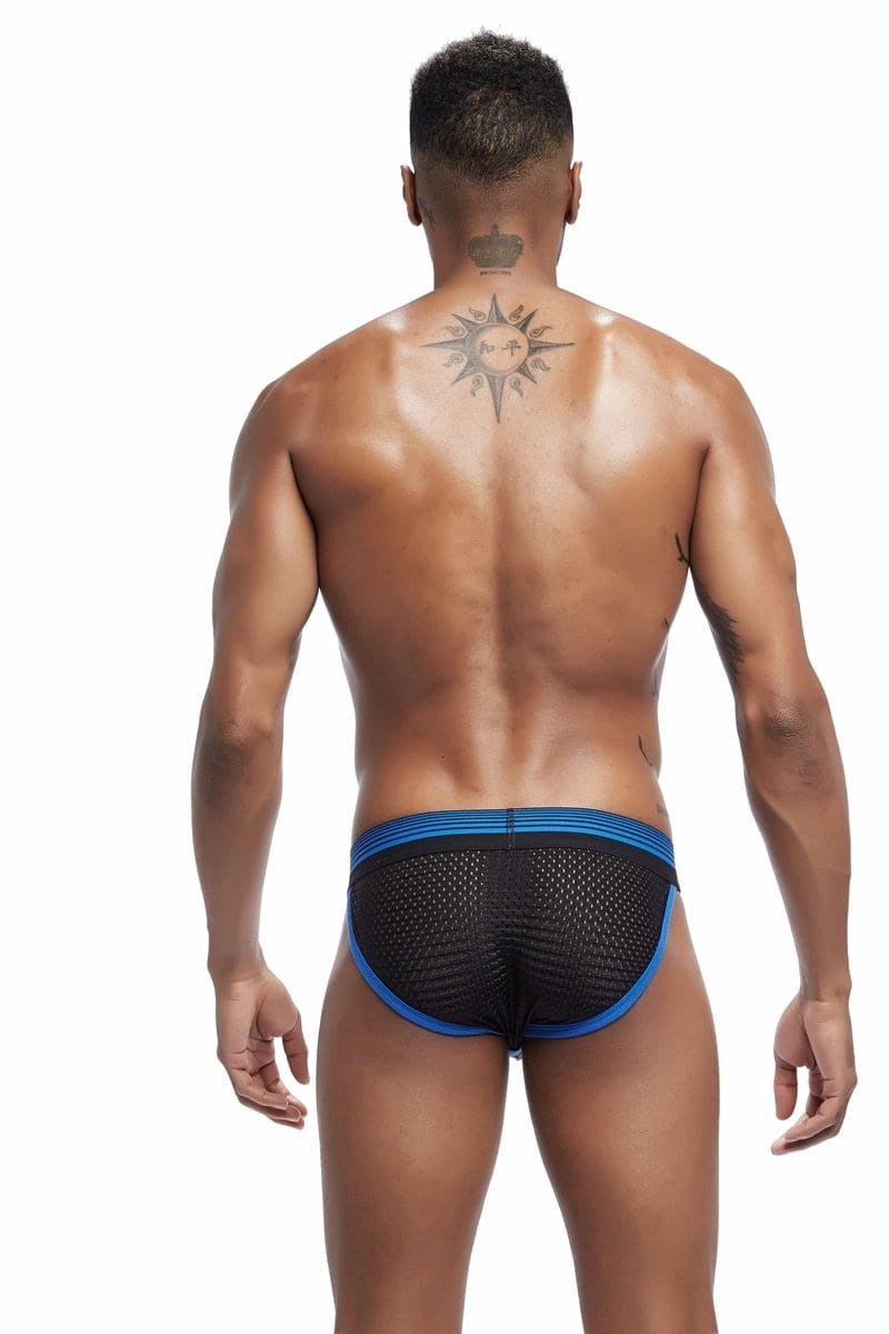 Trimmed Mesh Tanga Briefs | dmunderwear detail image 6