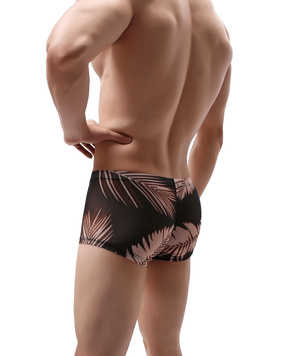 Tropical Sheer Trunks | dmunderwear detail image 11