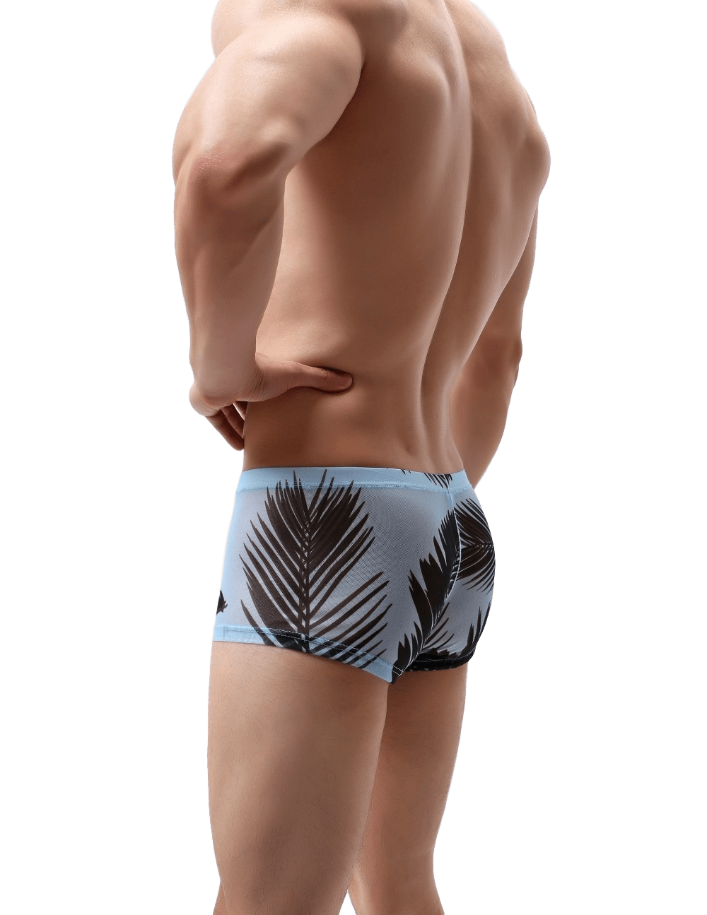 Tropical Sheer Trunks | dmunderwear detail image 8