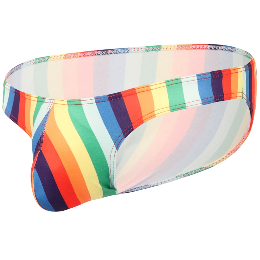 Variety Bikini Briefs | dmunderwear detail image 16