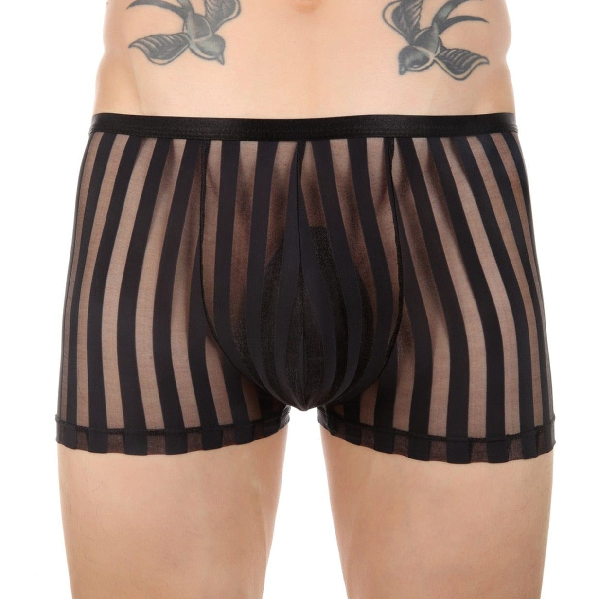 Vertical Stripe Trunks | dmunderwear