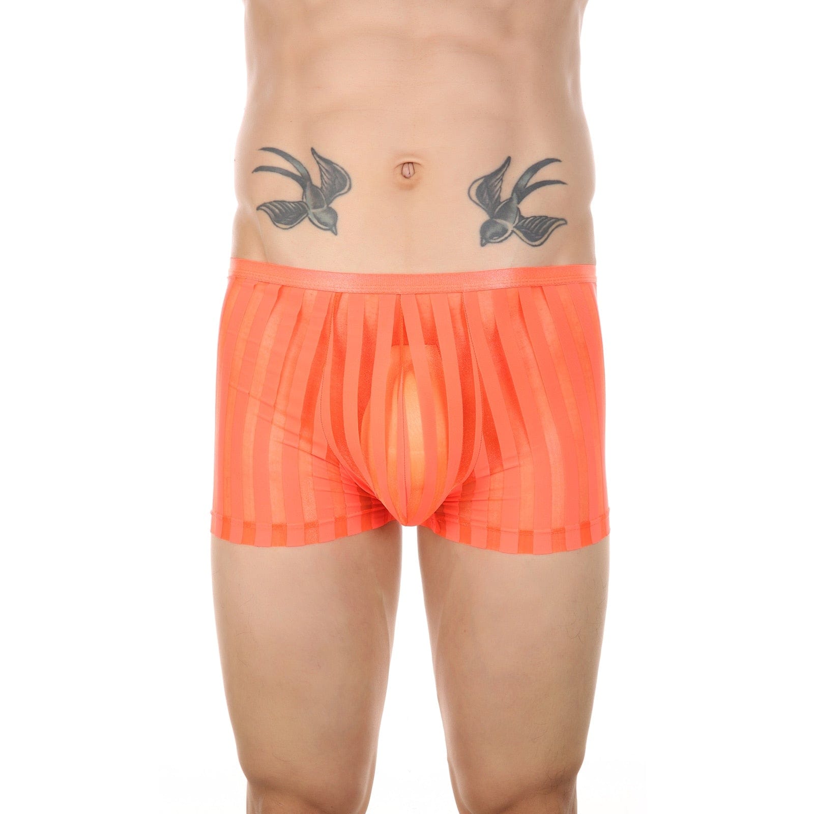 Vertical Stripe Trunks | dmunderwear detail image 5