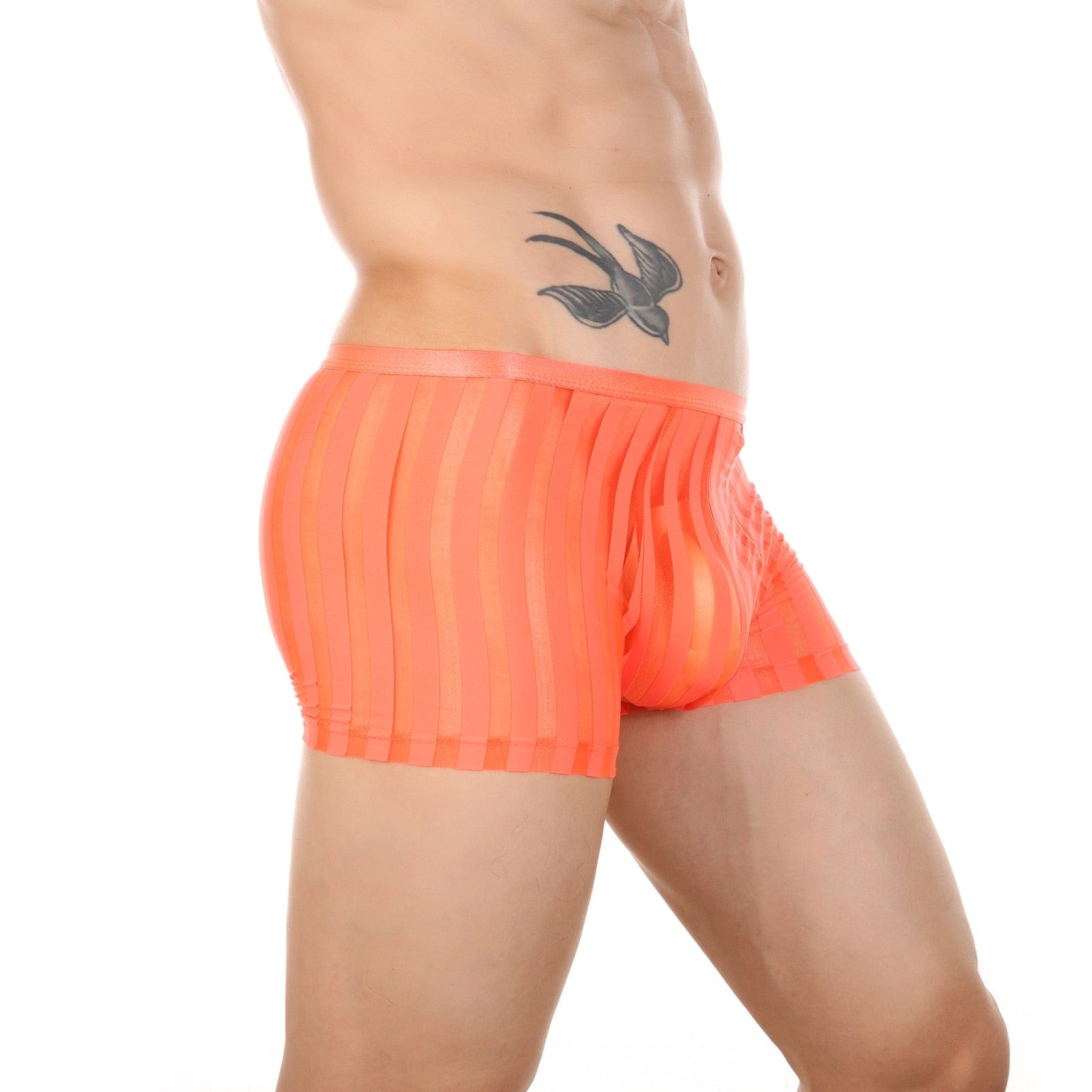 Vertical Stripe Trunks | dmunderwear detail image 6