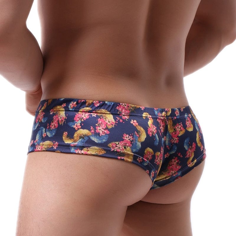 Vintage Cheeky Briefs | dmunderwear
