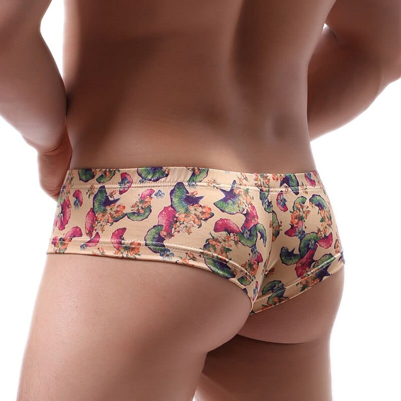 Vintage Cheeky Briefs | dmunderwear detail image 9